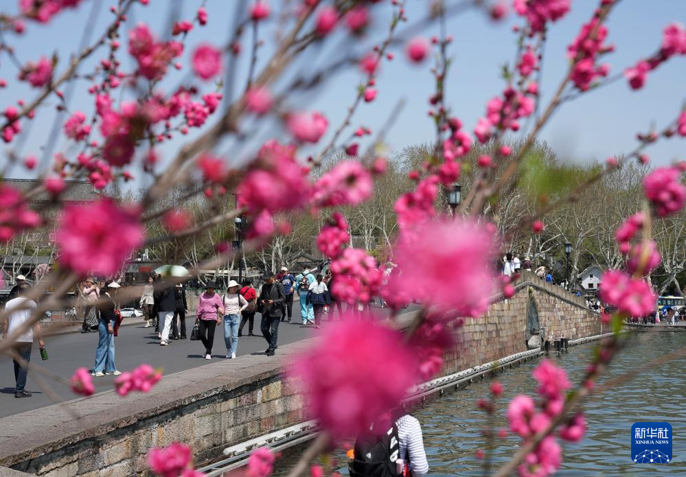 春暖赏花正当时