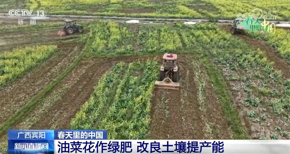 现代农机为传统农业注入新动能 万象“耕”新奏响“春耕进行曲”