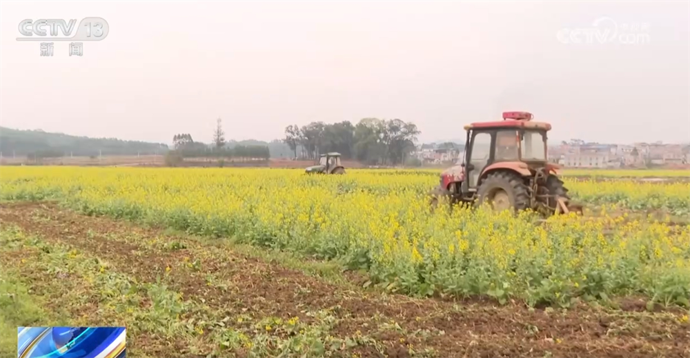 现代农机为传统农业注入新动能 万象“耕”新奏响“春耕进行曲”