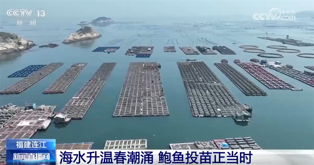 现代农机为传统农业注入新动能 万象“耕”新奏响“春耕进行曲”