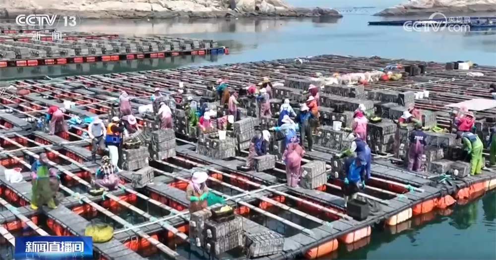 现代农机为传统农业注入新动能 万象“耕”新奏响“春耕进行曲”