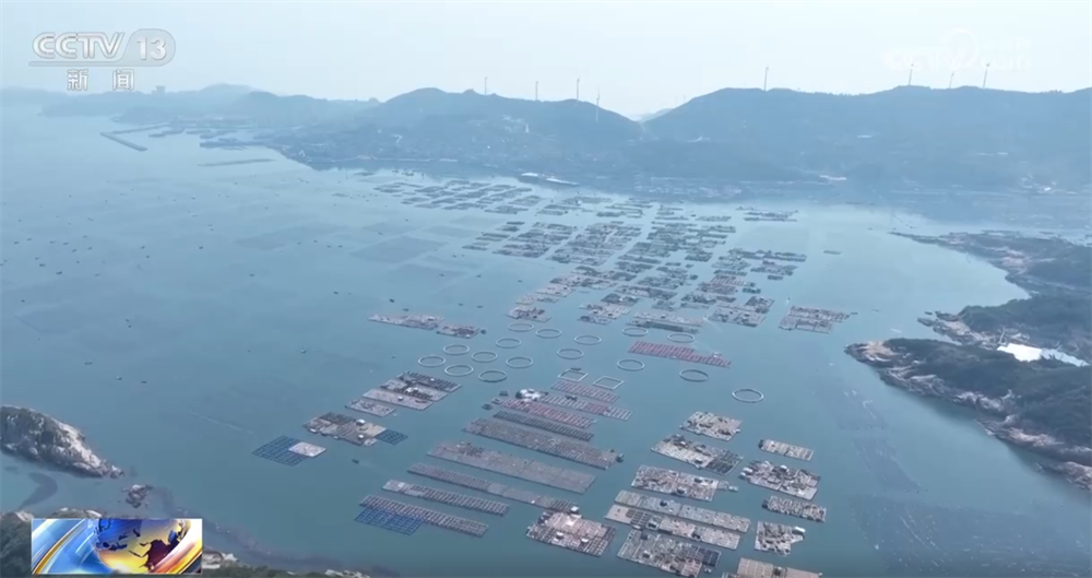 现代农机为传统农业注入新动能 万象“耕”新奏响“春耕进行曲”