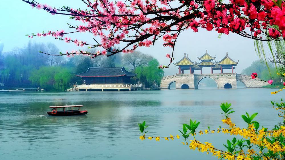 微视频｜出圈出海出彩！看中华文化魅力