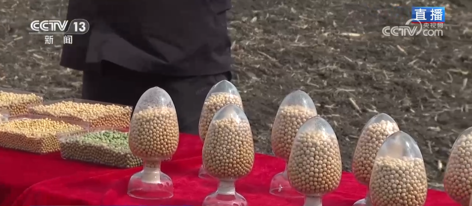 “良种+良机+良法”助力增产增收 希望的田野上绘就如画“丰”景