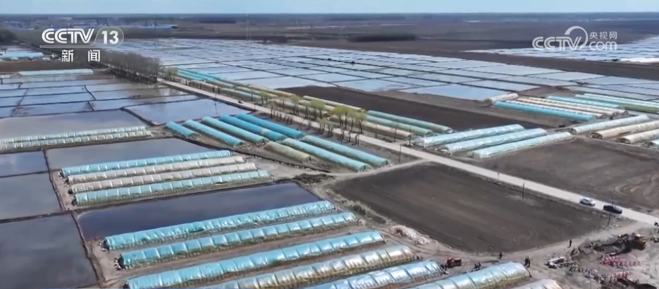 “良种+良机+良法”助力增产增收 希望的田野上绘就如画“丰”景