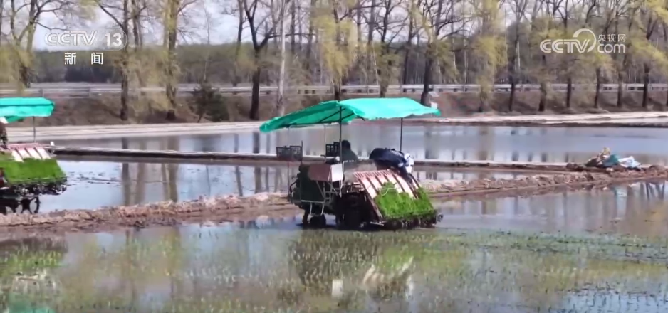 “良种+良机+良法”助力增产增收 希望的田野上绘就如画“丰”景