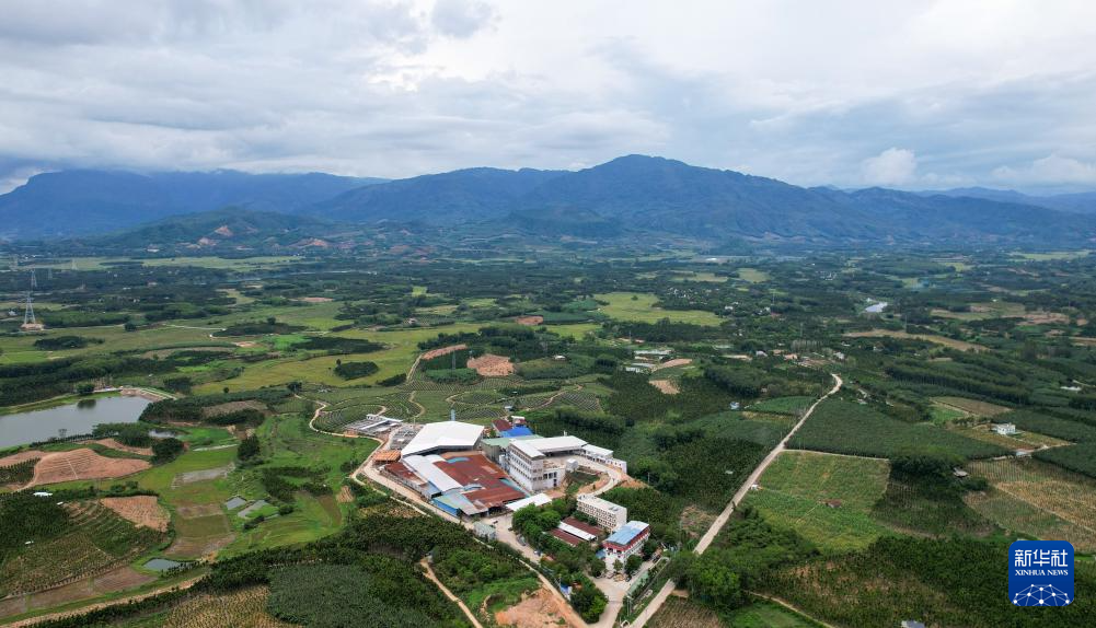 海南自贸港:政策创新赋能产业发展