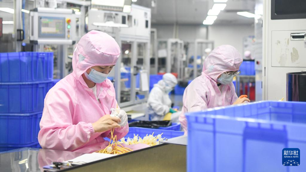 海南自贸港:政策创新赋能产业发展