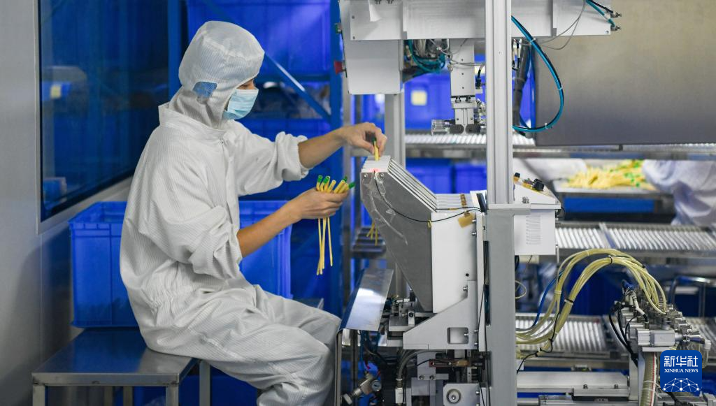 海南自贸港:政策创新赋能产业发展