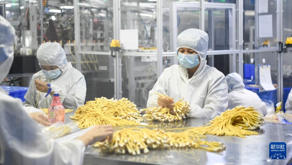 海南自贸港:政策创新赋能产业发展