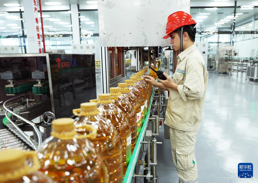 海南自贸港:政策创新赋能产业发展