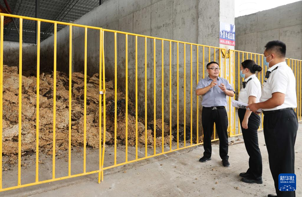 海南自贸港:政策创新赋能产业发展