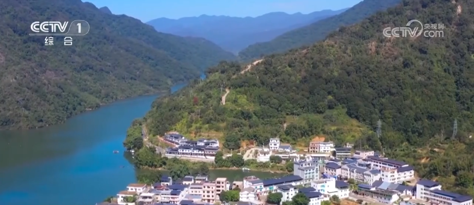 寻味“舌尖上的端午” 各地节令美食成为中华民俗文化的鲜活注脚