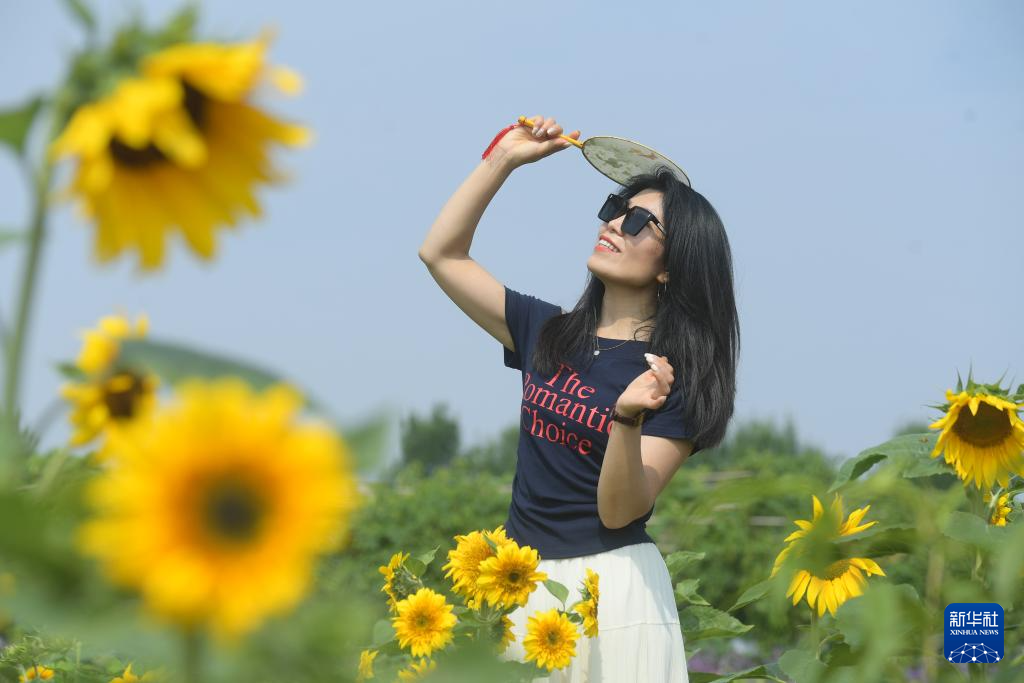 端午假期出游热