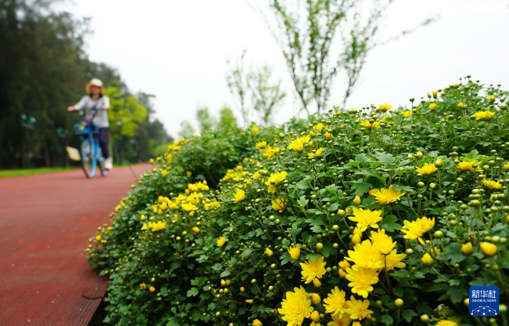 端午假期出游热