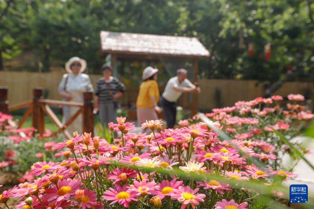 端午假期出游热