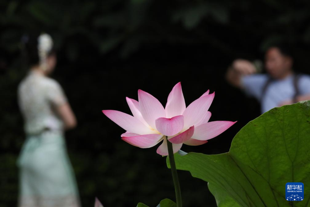 端午假期出游热