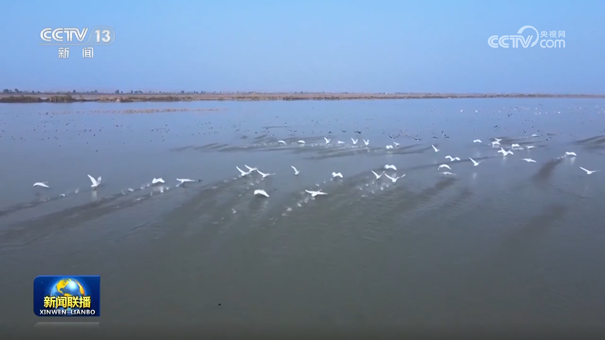 【新思想引领新征程】持续推进生态文明建设 绘就美丽中国新画卷