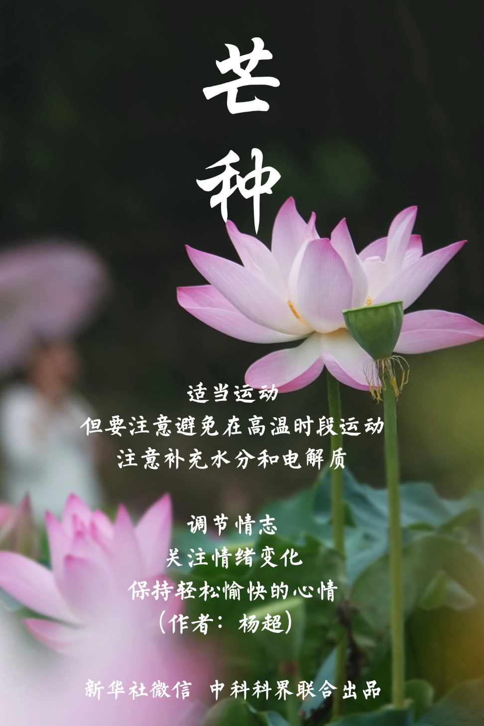 芒种!祝你收获满满
