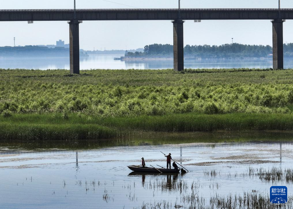世界环境日:美丽中国我先行
