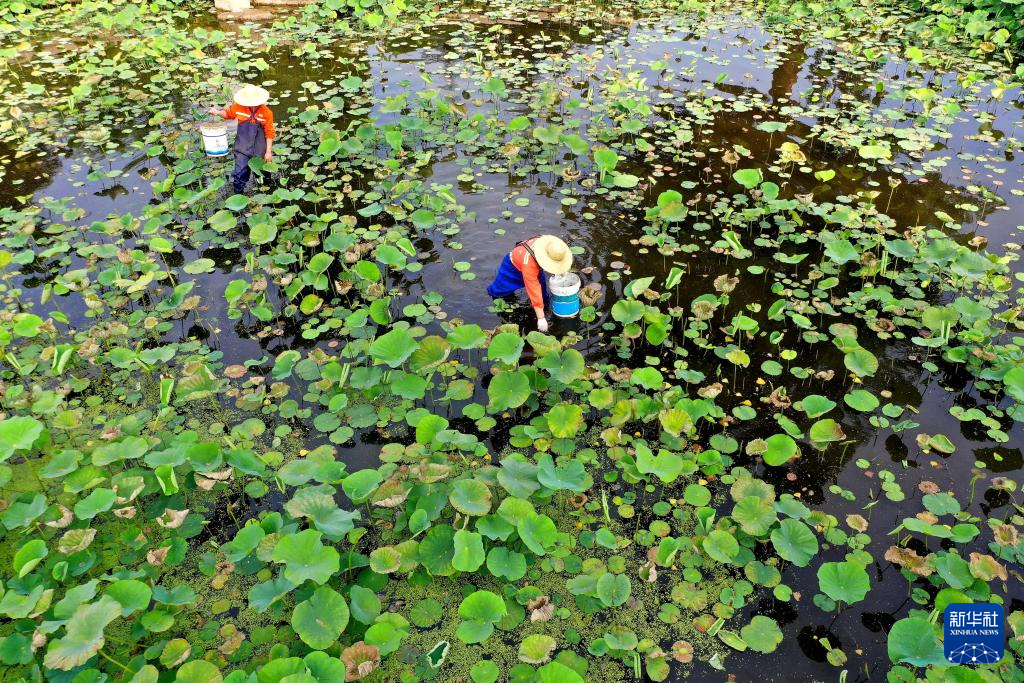 世界环境日:美丽中国我先行