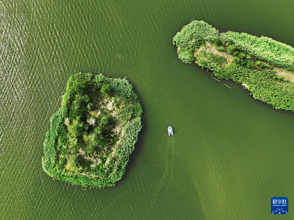 世界环境日:美丽中国我先行