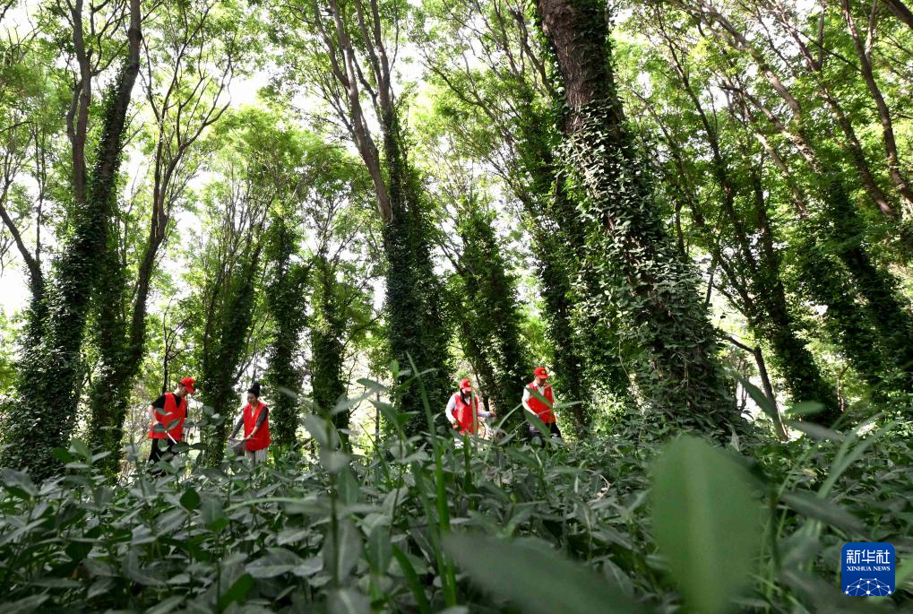 世界环境日:美丽中国我先行