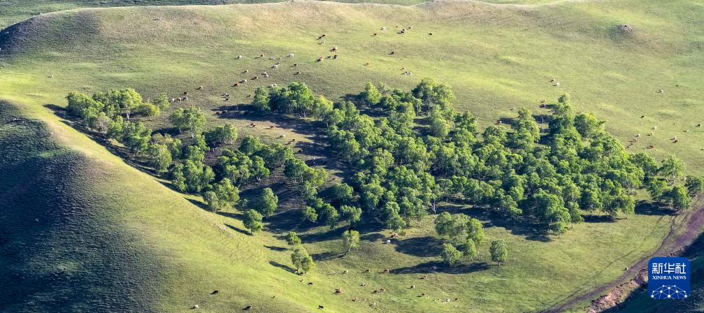 美丽中国|夏日大青山