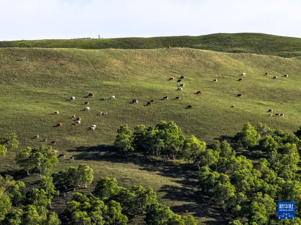 美丽中国|夏日大青山