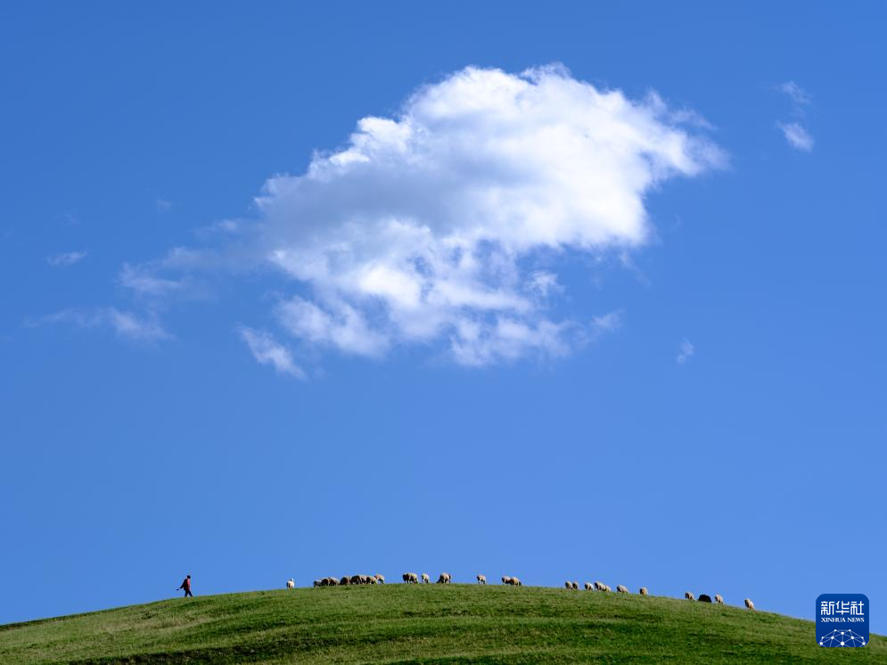 美丽中国|夏日大青山