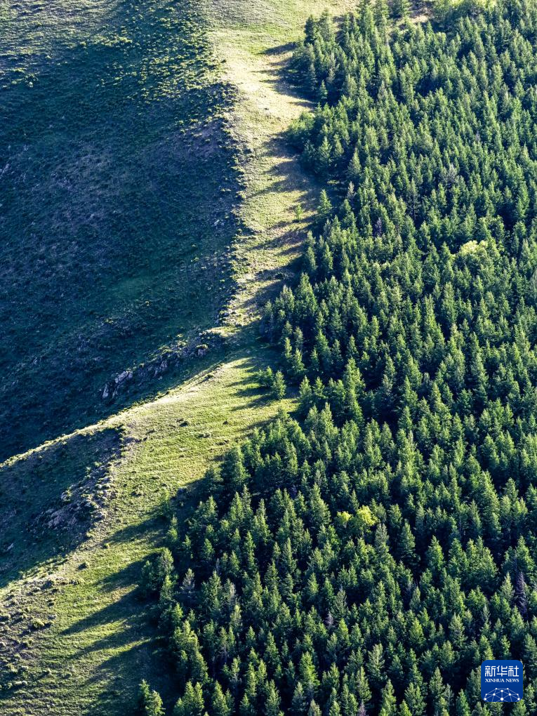 美丽中国|夏日大青山