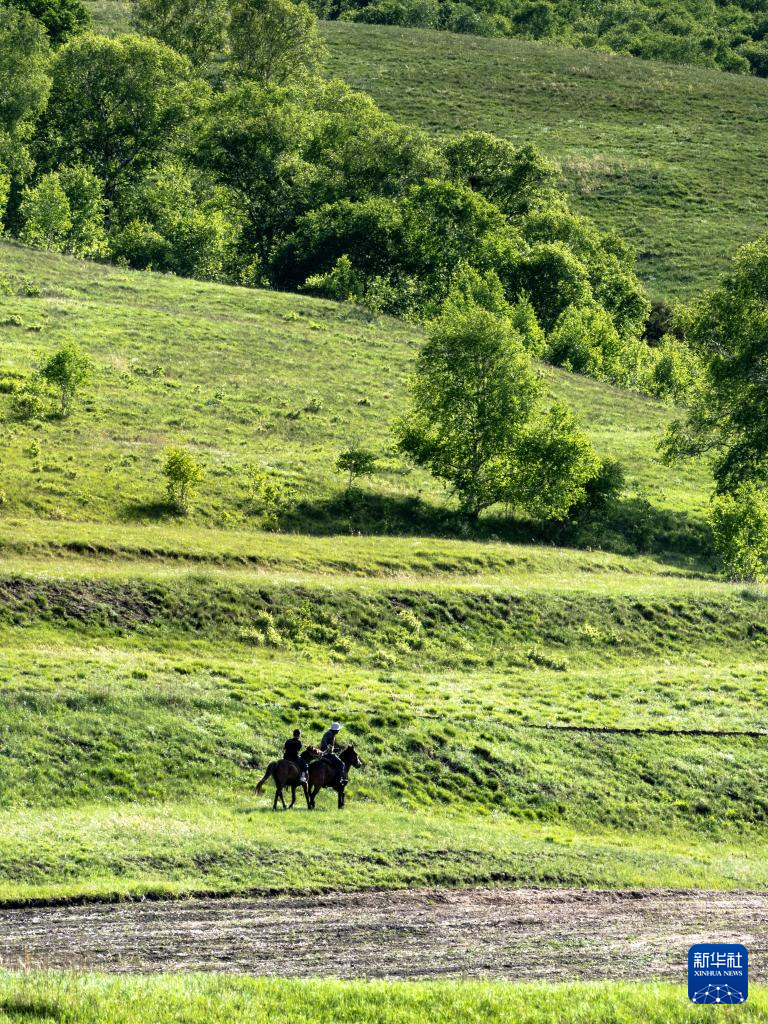 美丽中国|夏日大青山
