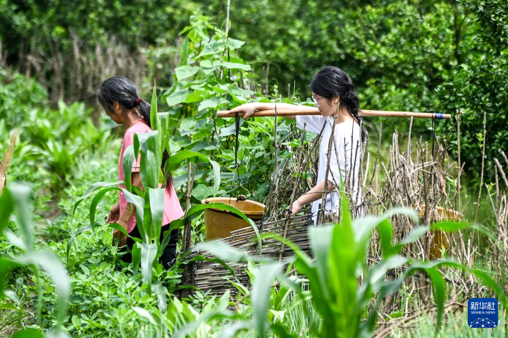 全网追的“扁担女孩”，找到了！