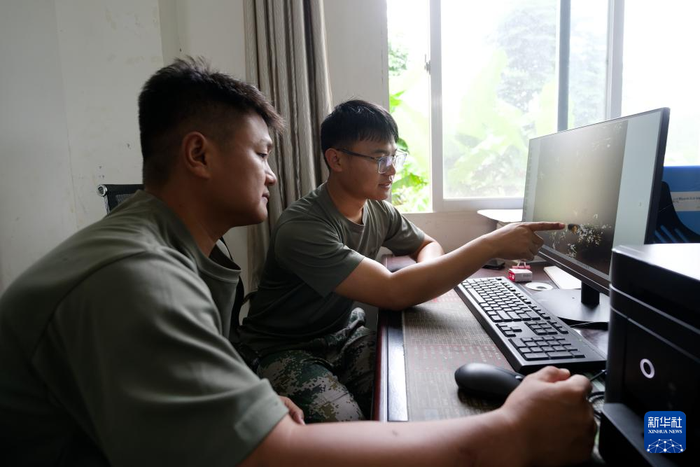热带雨林里的飞羽精灵和它们的守护者
