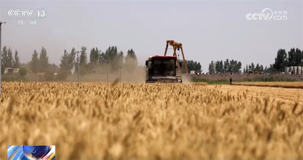 科技助力让“三夏”插上“智慧的翅膀” 田间地头一片忙碌景象