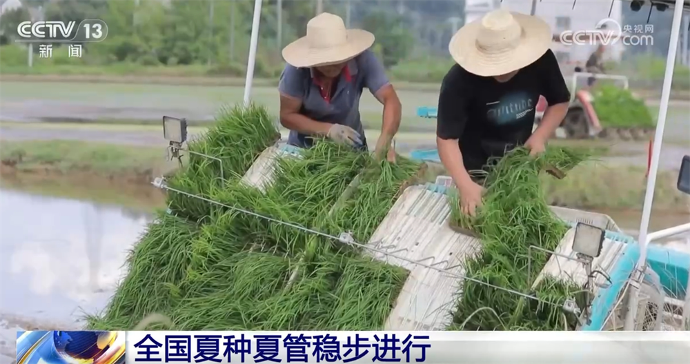 科技助力让“三夏”插上“智慧的翅膀” 田间地头一片忙碌景象