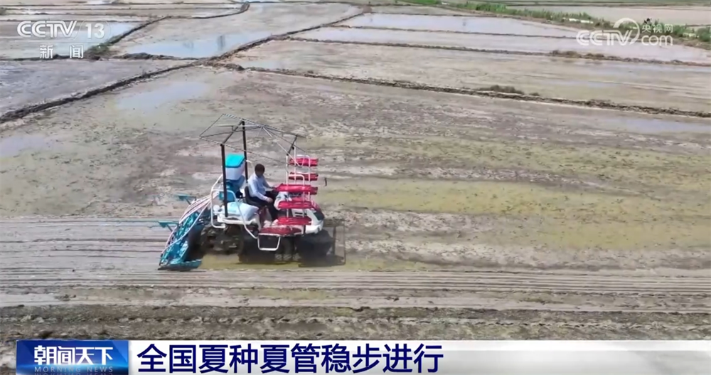 科技助力让“三夏”插上“智慧的翅膀” 田间地头一片忙碌景象