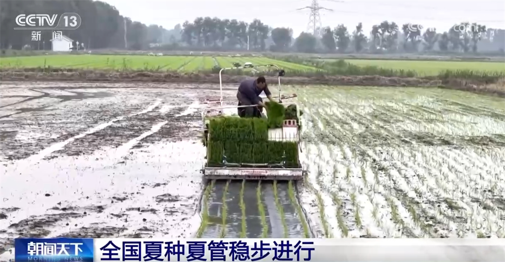 科技助力让“三夏”插上“智慧的翅膀” 田间地头一片忙碌景象