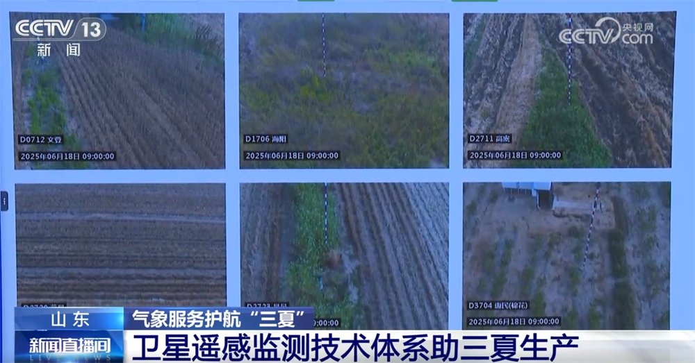 更实、更细、更“智慧” 气象服务护航“三夏”保障夏粮丰收归仓