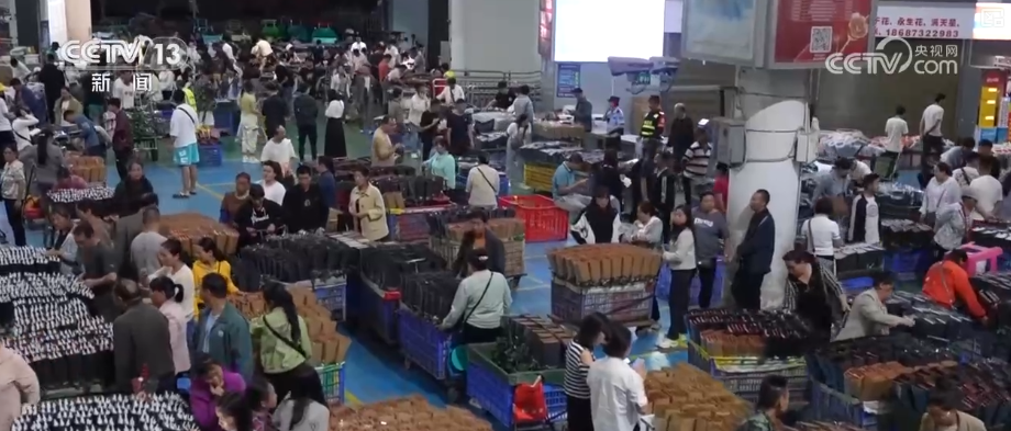 芬芳“夜经济”一路繁花燃动消费热力 定制化拍卖游客“尝尝鲜”