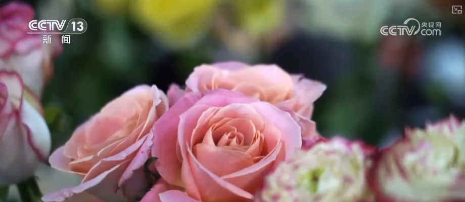 芬芳“夜经济”一路繁花燃动消费热力 定制化拍卖游客“尝尝鲜”