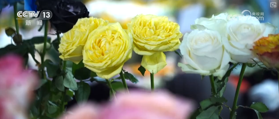 芬芳“夜经济”一路繁花燃动消费热力 定制化拍卖游客“尝尝鲜”