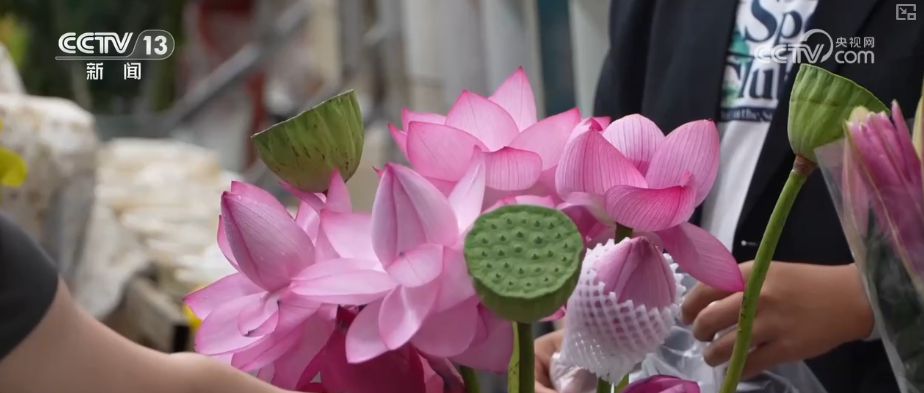 芬芳“夜经济”一路繁花燃动消费热力 定制化拍卖游客“尝尝鲜”