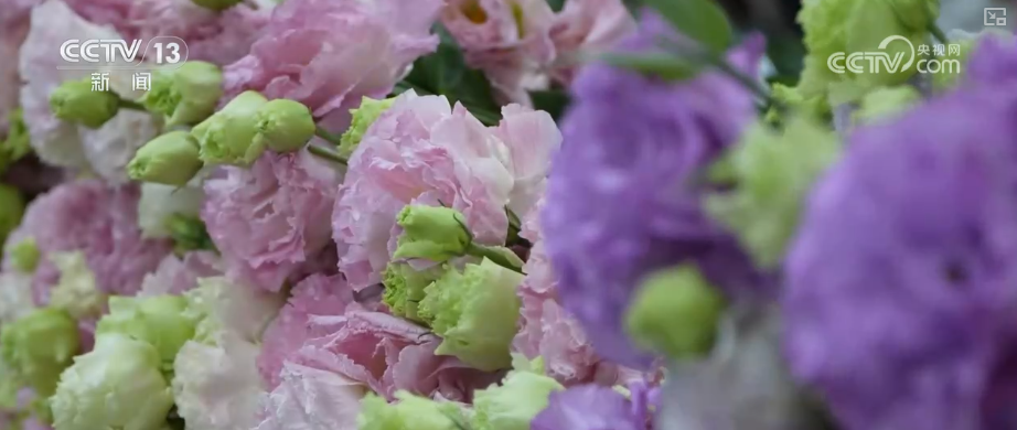 芬芳“夜经济”一路繁花燃动消费热力 定制化拍卖游客“尝尝鲜”