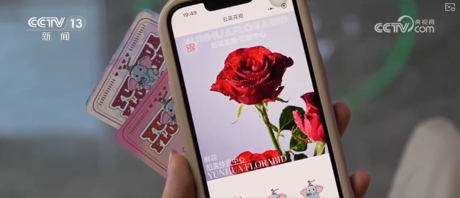 芬芳“夜经济”一路繁花燃动消费热力 定制化拍卖游客“尝尝鲜”