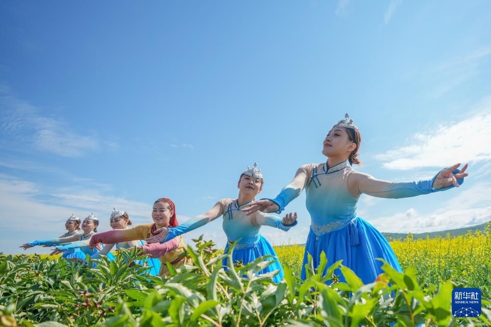 内蒙古额尔古纳：油菜花海醉游人