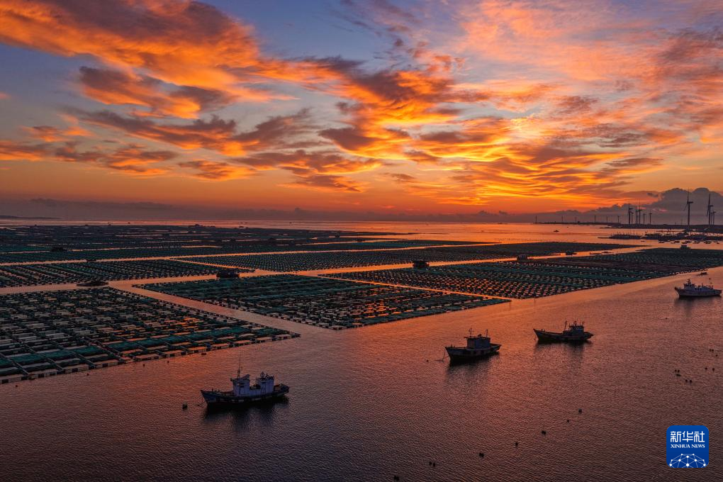 山东荣成：秋日耕海图