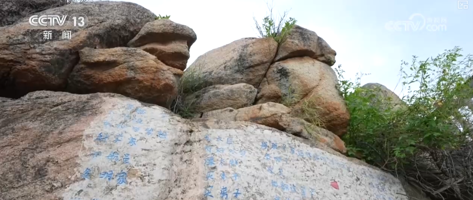 看海、读诗、非遗体验成文旅新标签 海岛焕新“向海而生”书写海洋经济新答卷