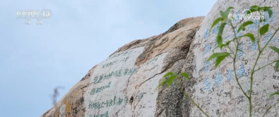 看海、读诗、非遗体验成文旅新标签 海岛焕新“向海而生”书写海洋经济新答卷