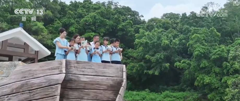 看海、读诗、非遗体验成文旅新标签 海岛焕新“向海而生”书写海洋经济新答卷